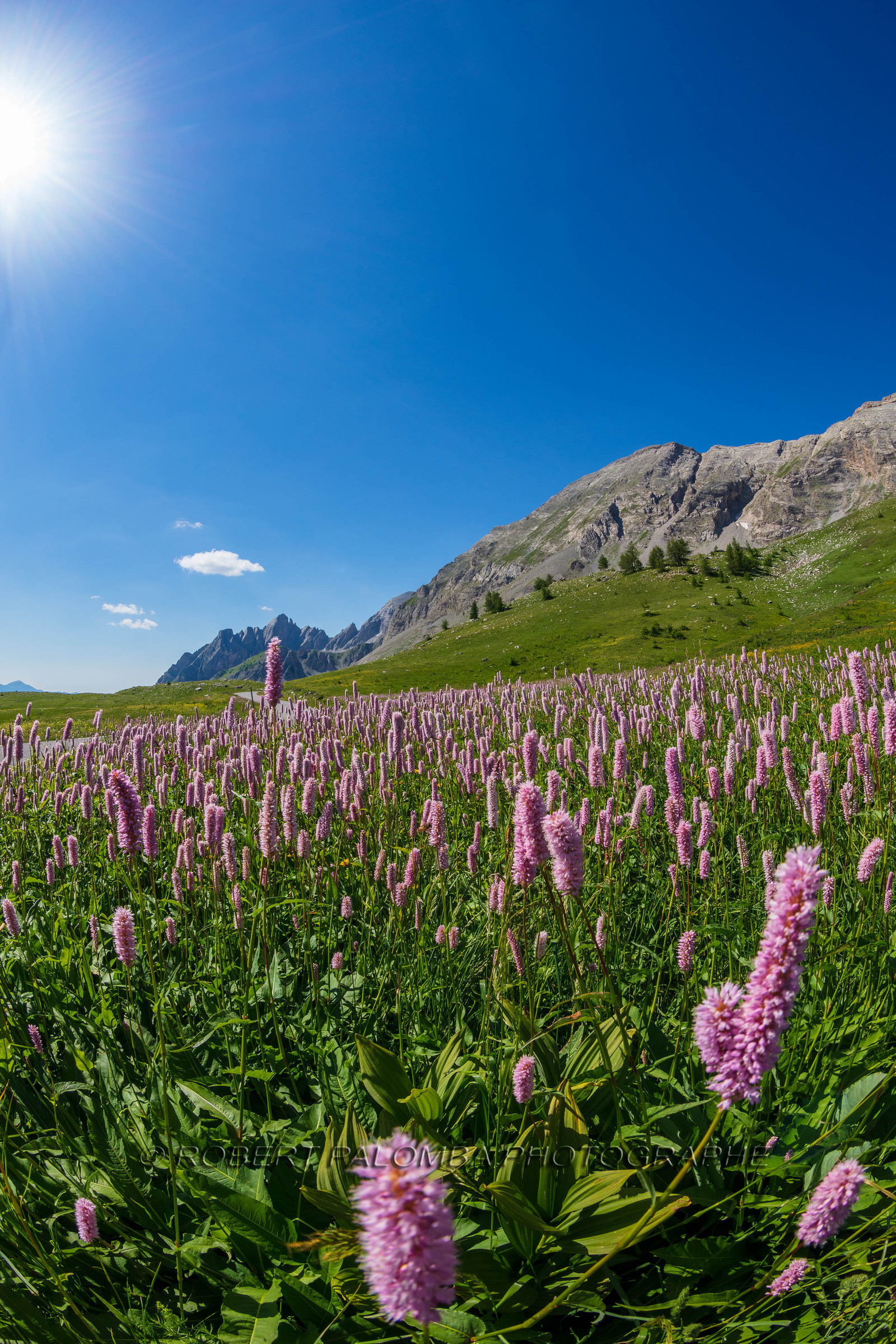 Col des Champs
