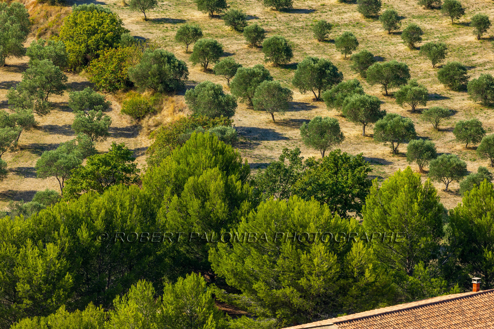 Salon-de-Provence