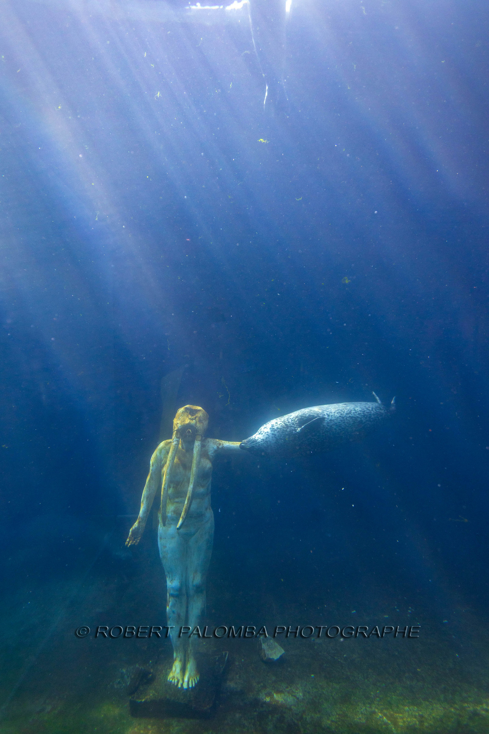 Seaquarium