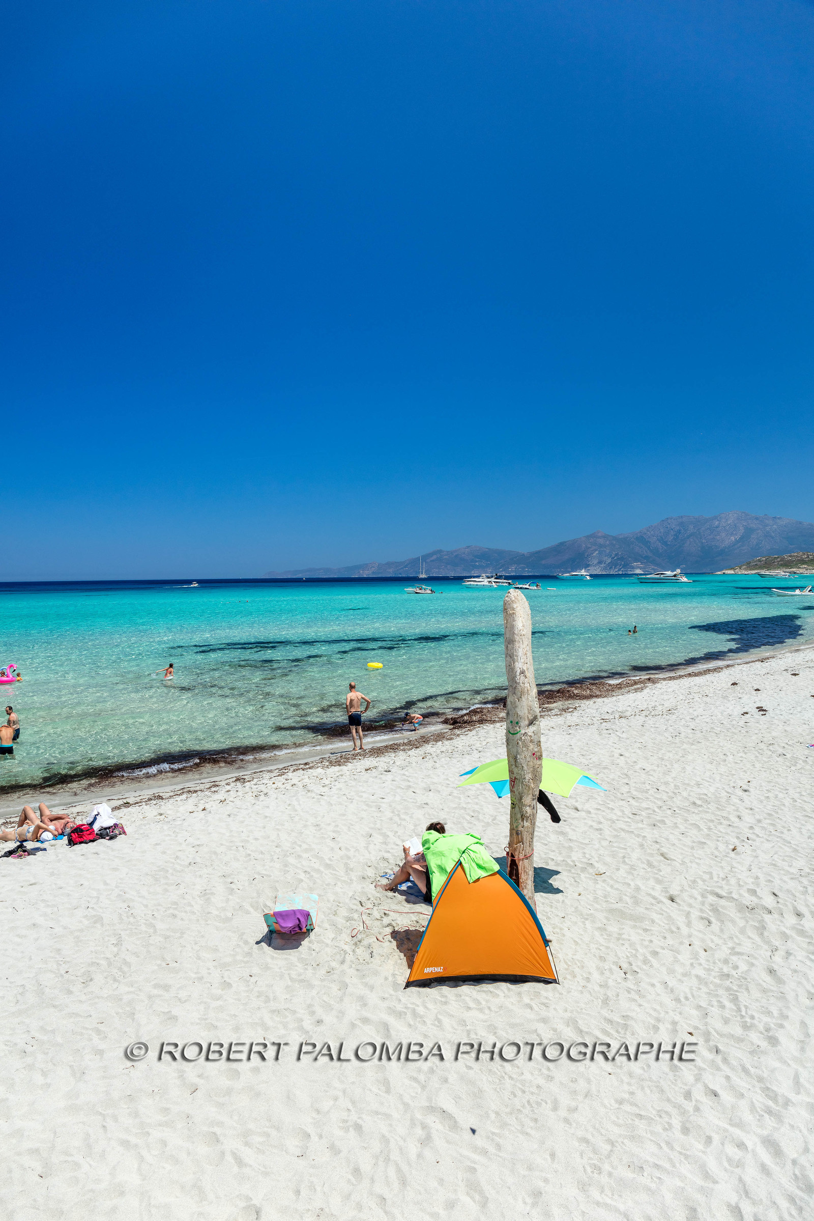 Saleccia