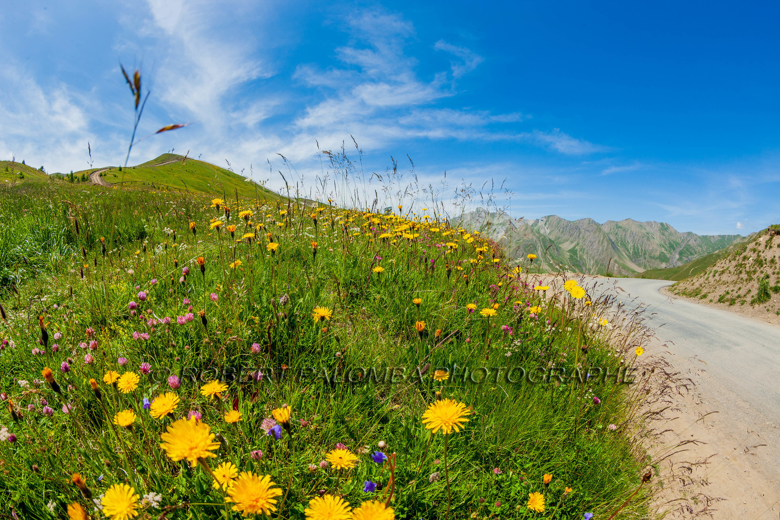 Col d'Allos