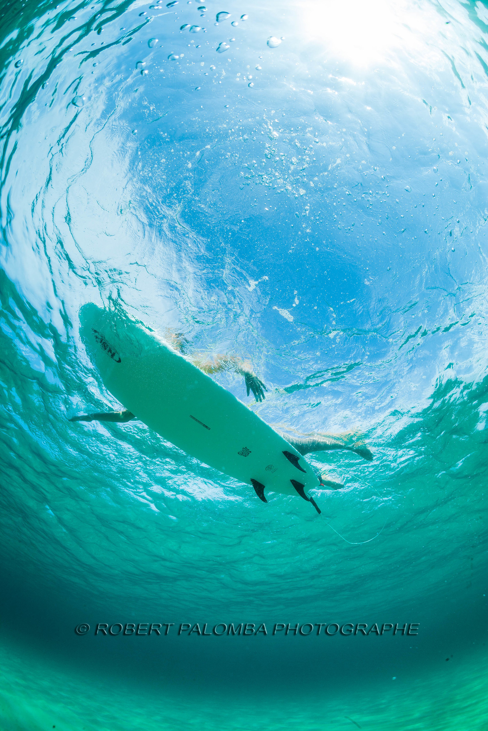 Surf
