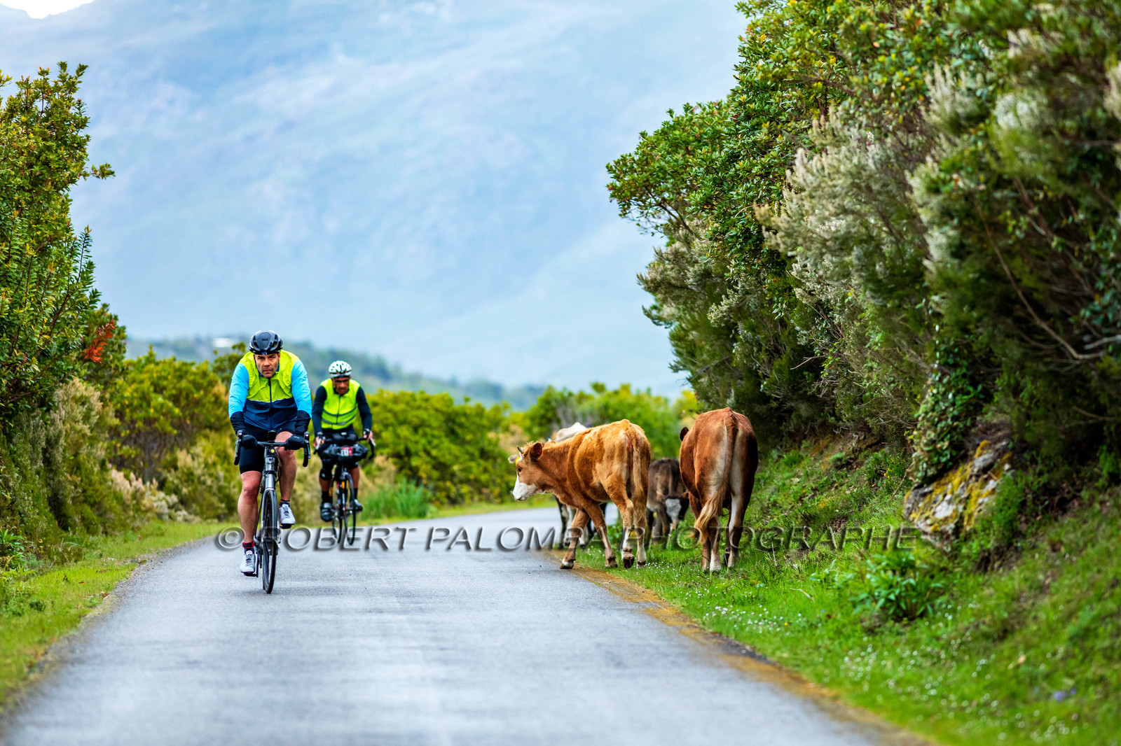 Bikingman Corsica 2019