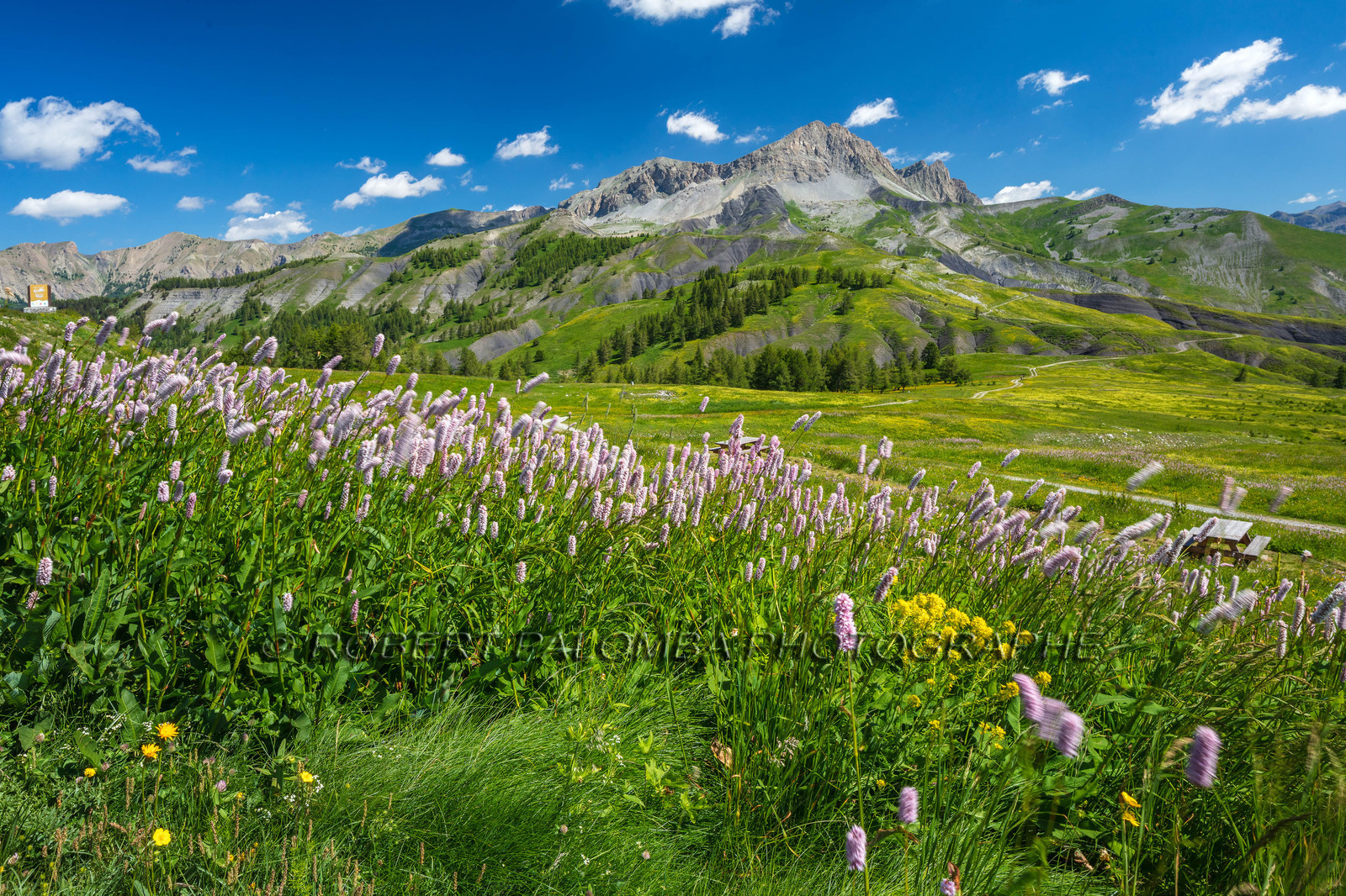 Col des Champs