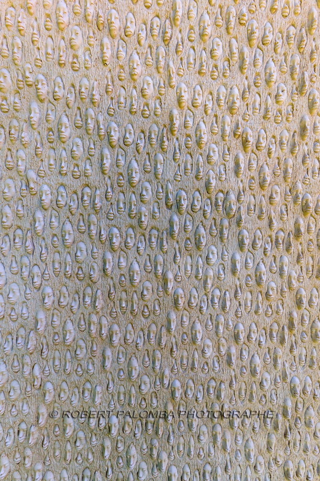 Six-Fours-les-Plages