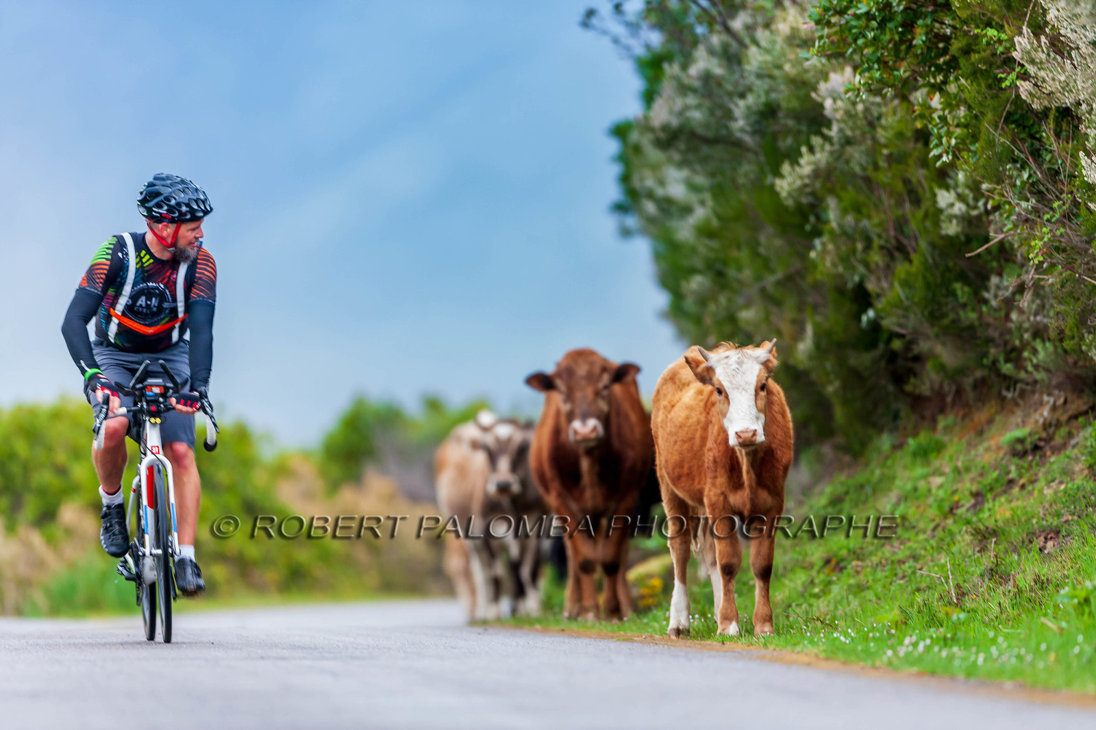 Bikingman Corsica 2019