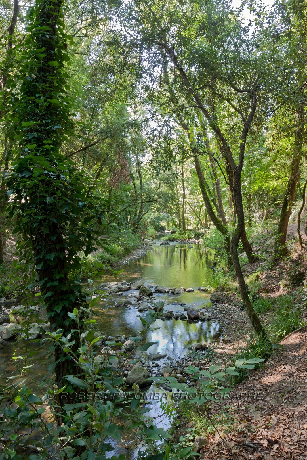 Parc de la Brague
