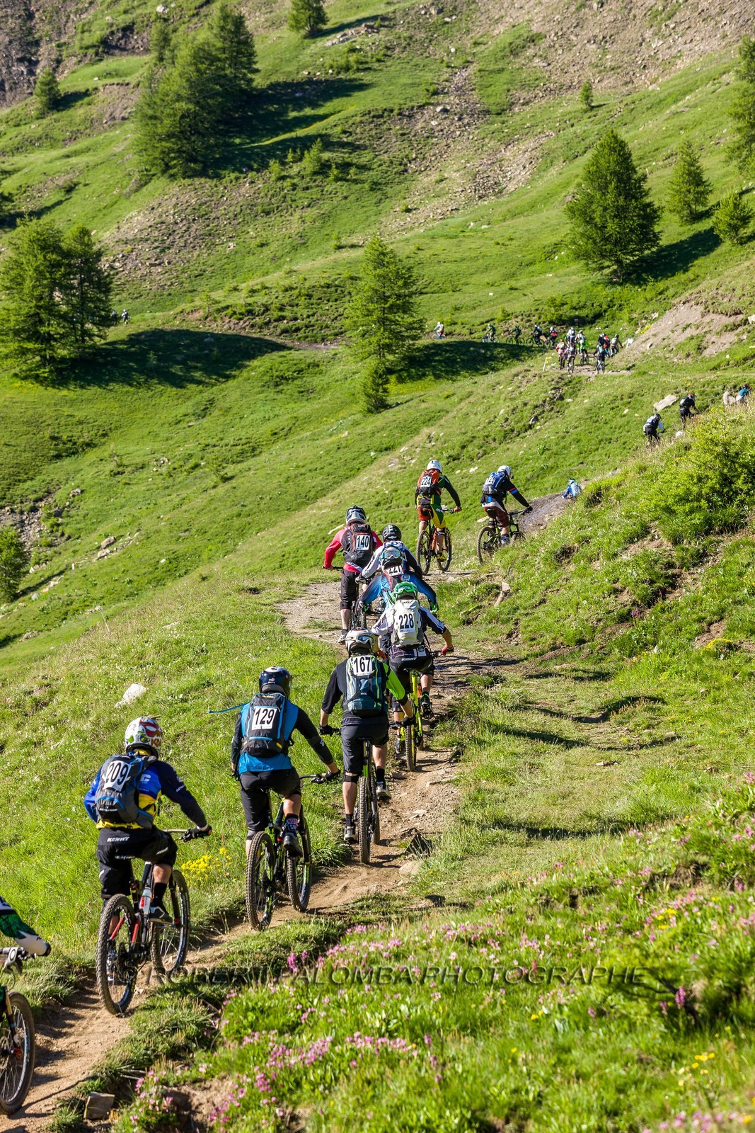 Vtt