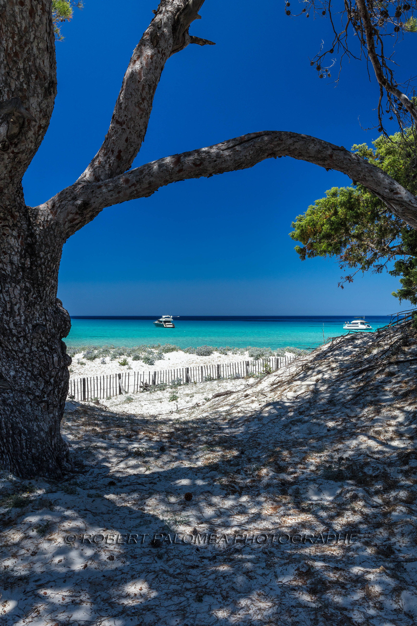 Saleccia