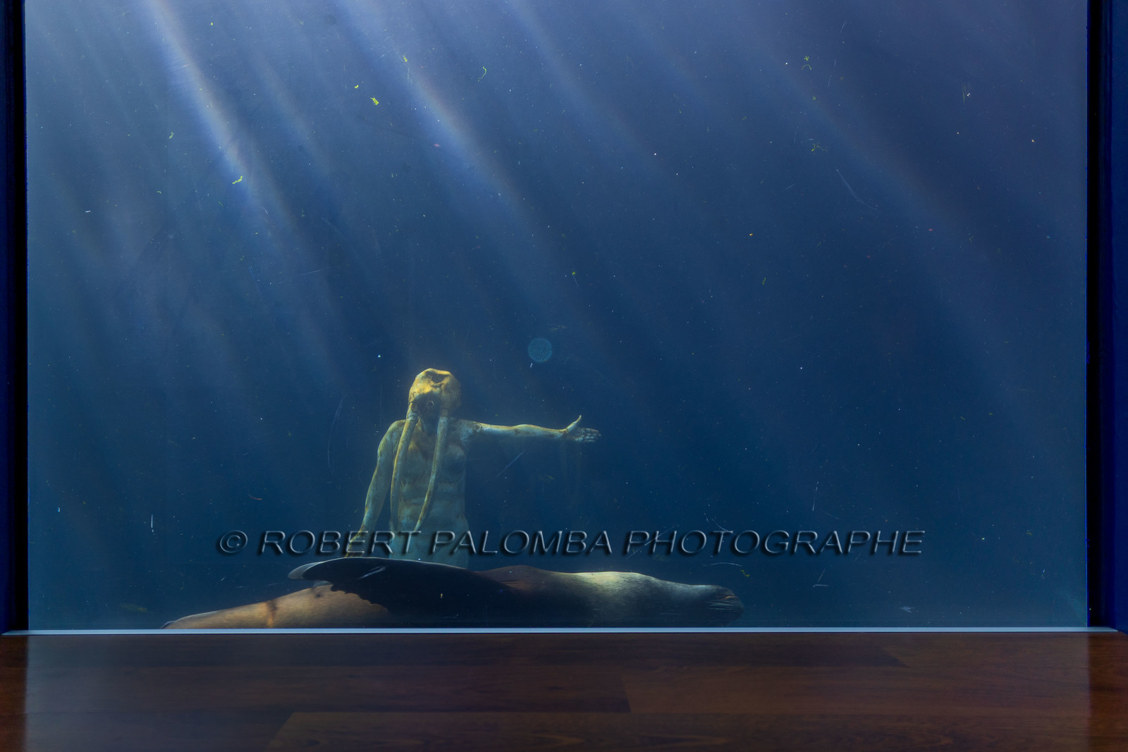 Seaquarium