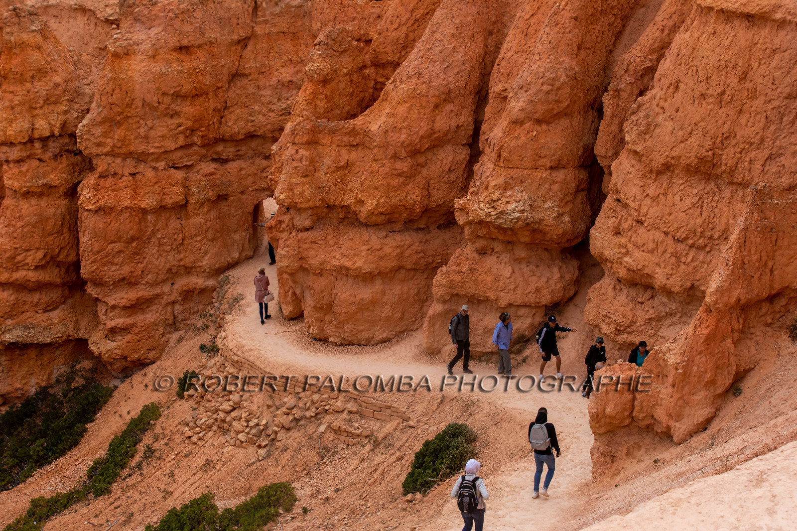 Bryce Canyon