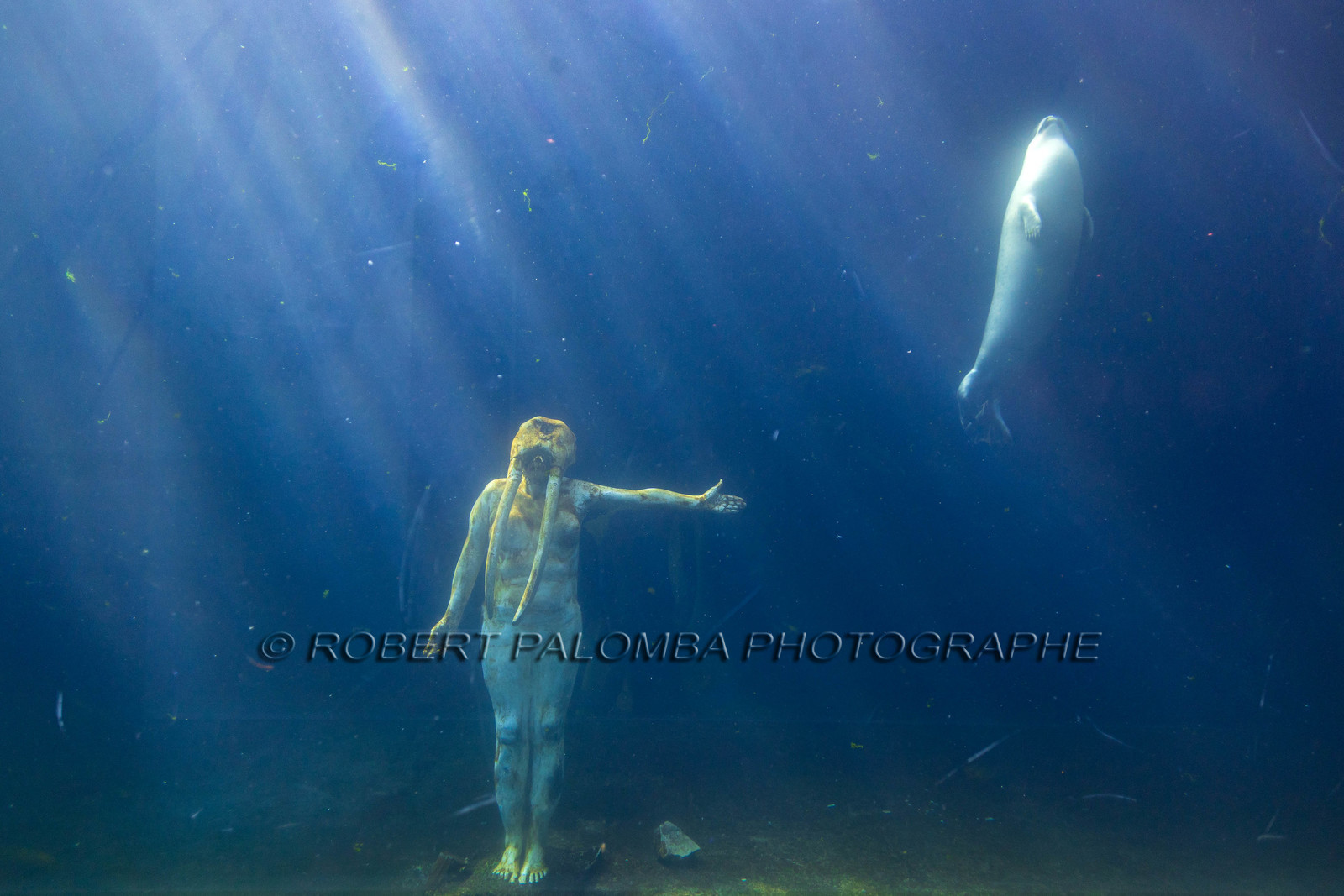 Seaquarium