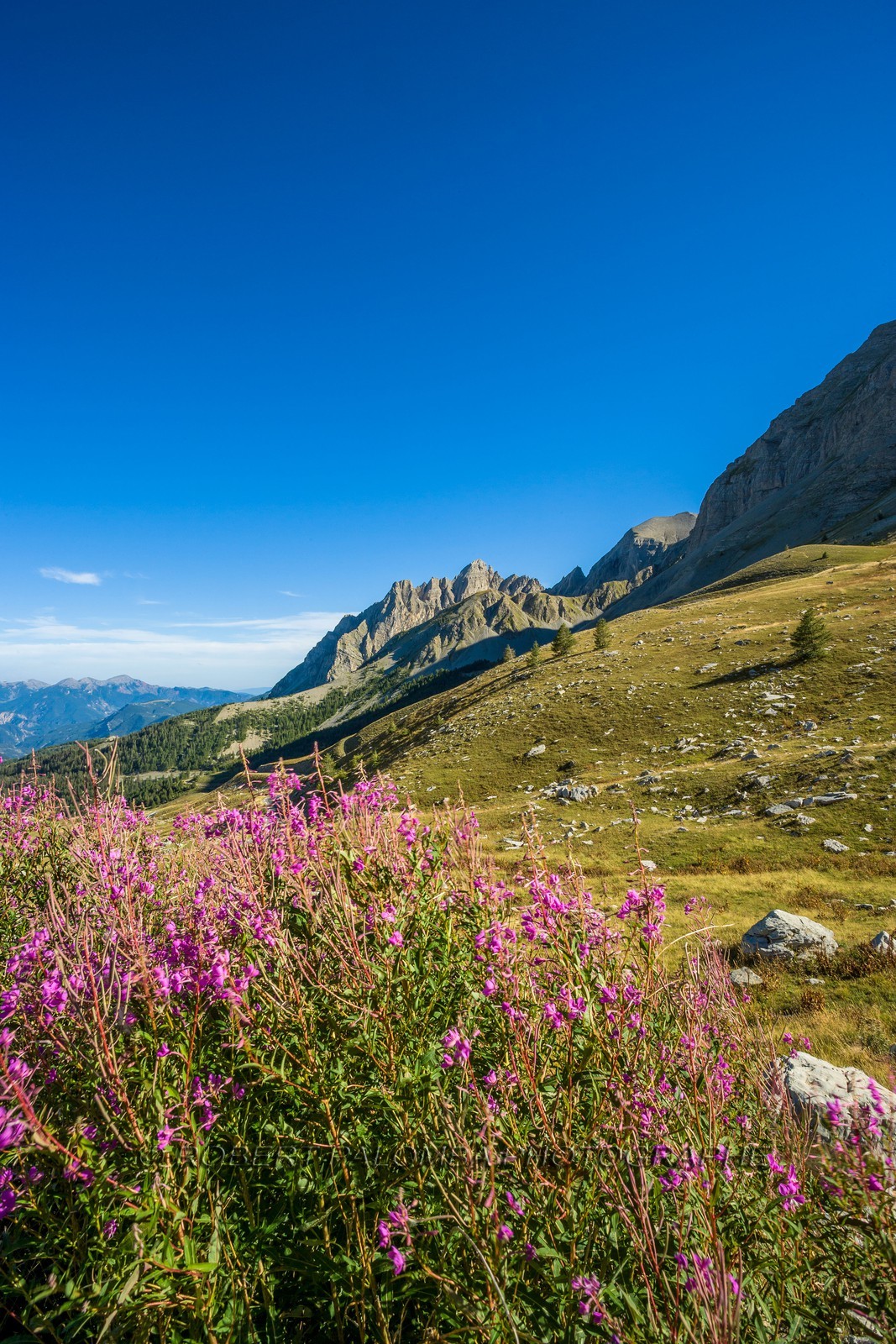 Col des Champs
