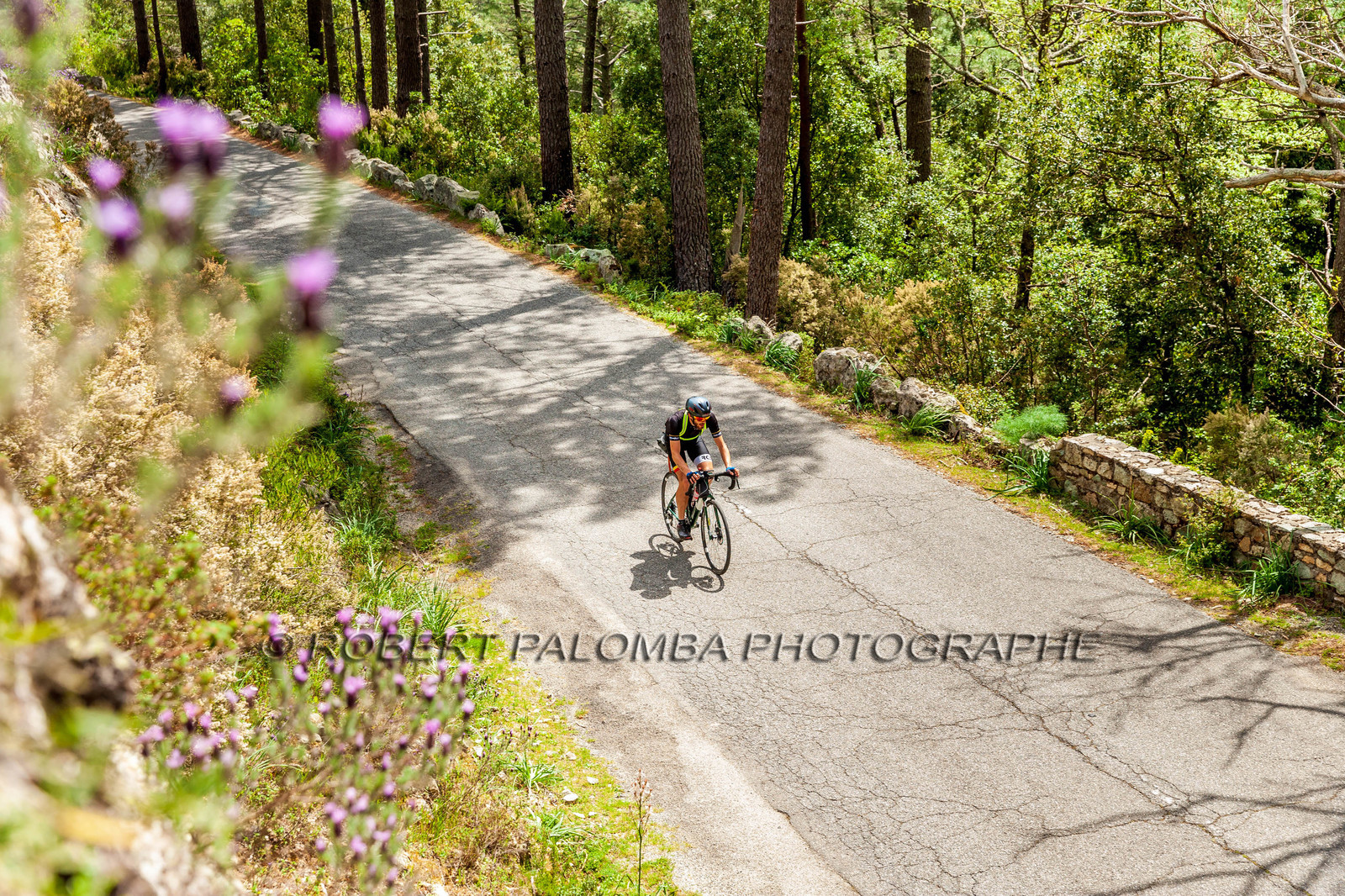 Bikingman Corsica 2019