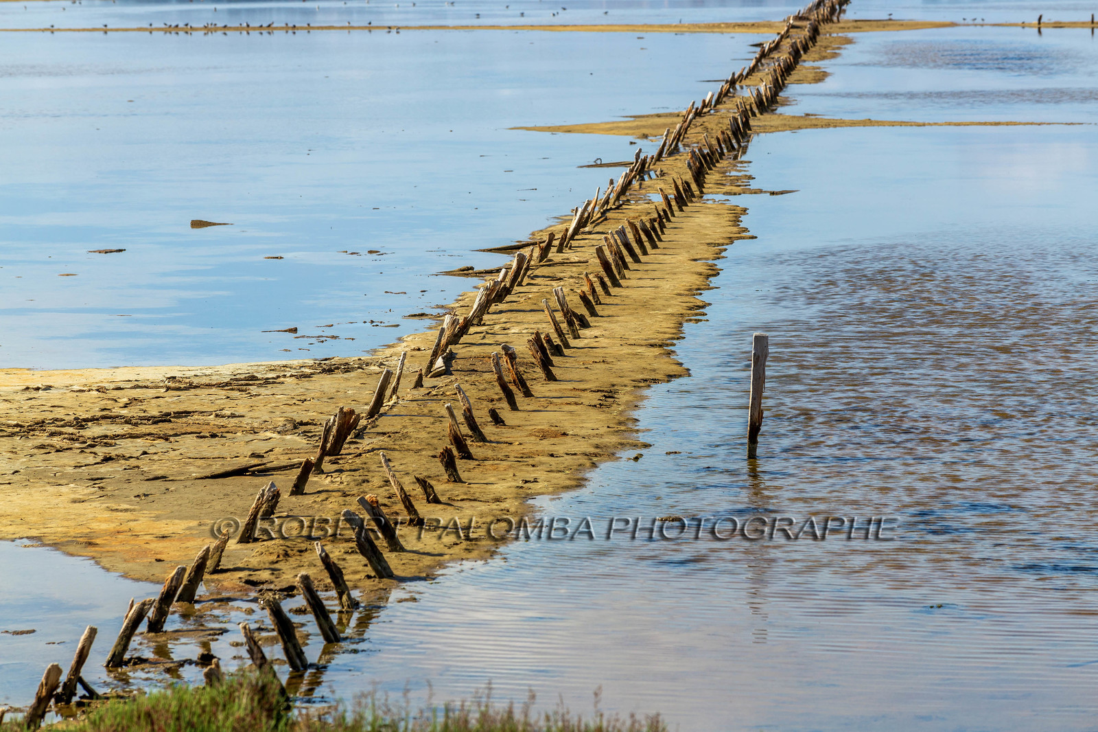 Salins d'Hyères