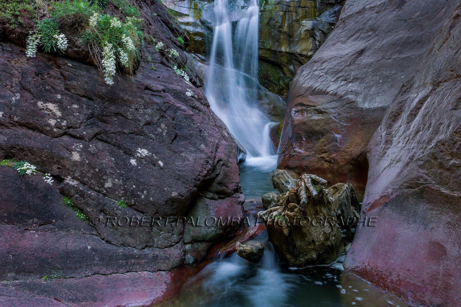 Gorges du Cians