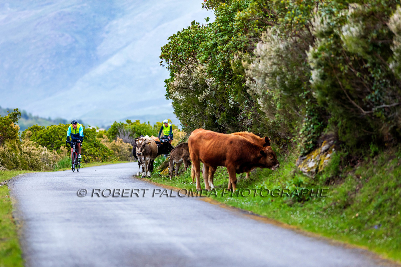 Col de Bigorno