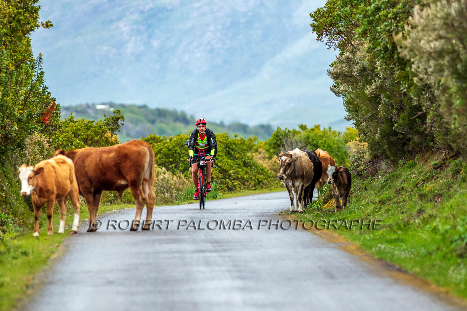 Bikingman Corsica 2019