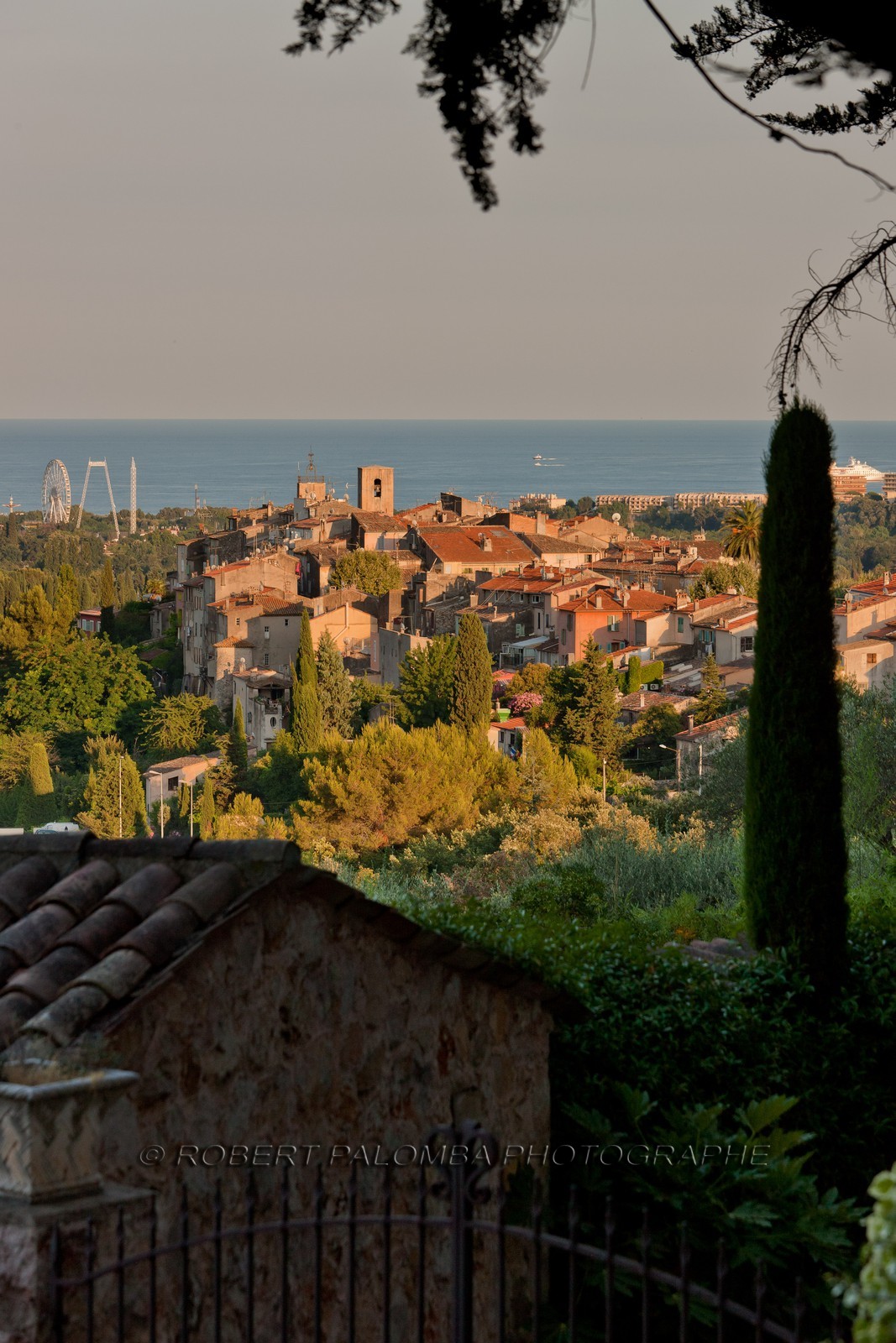 Biot