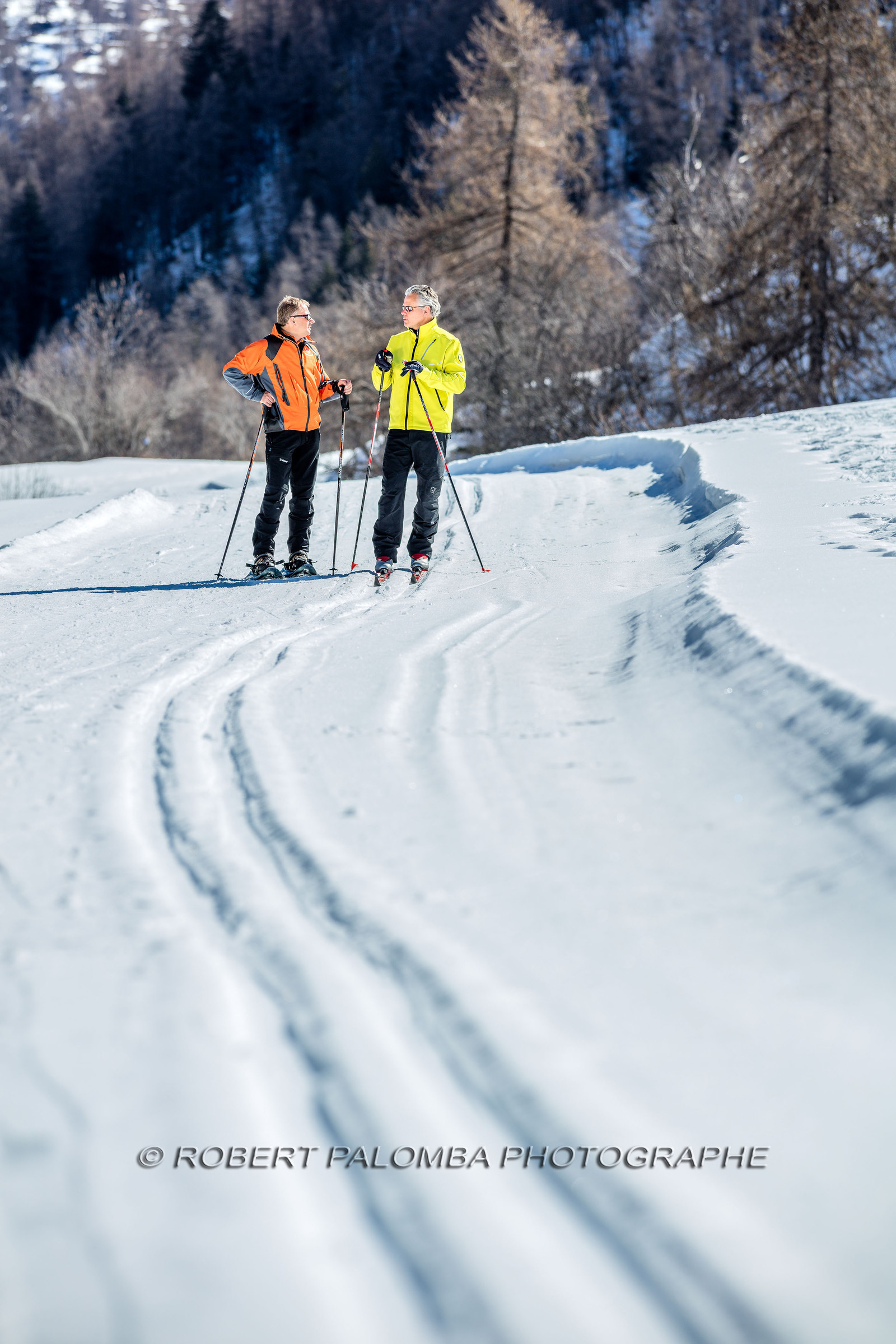 Ski de fond