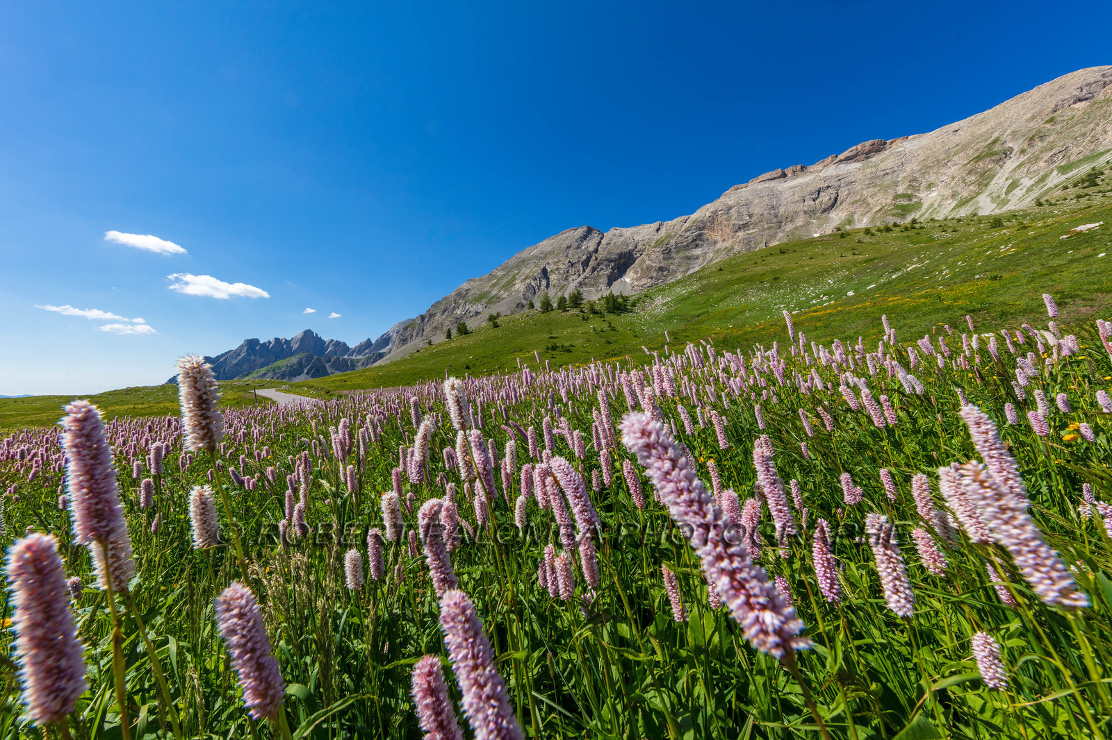 Col des Champs