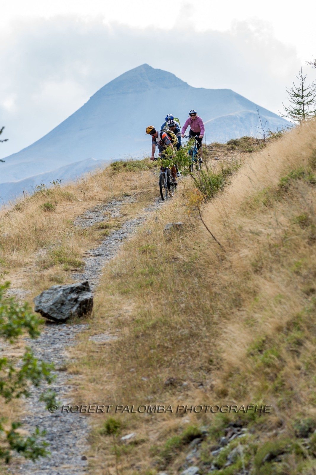 Vtt