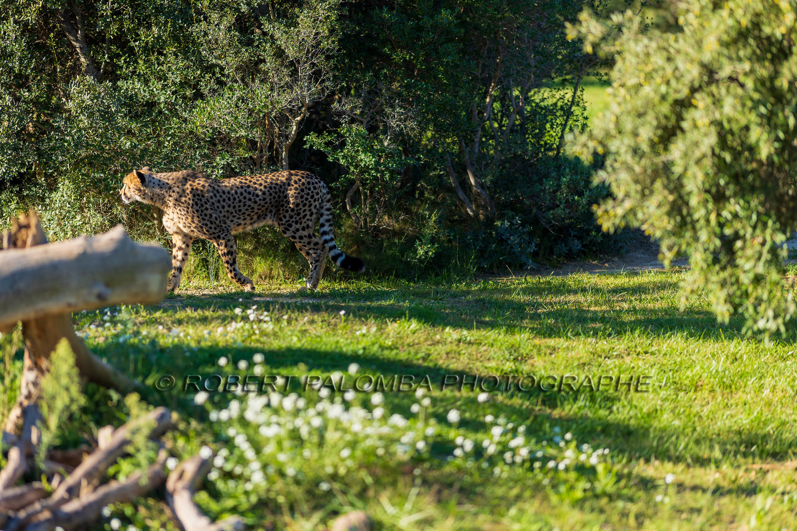 Parc animalier de la Barben
