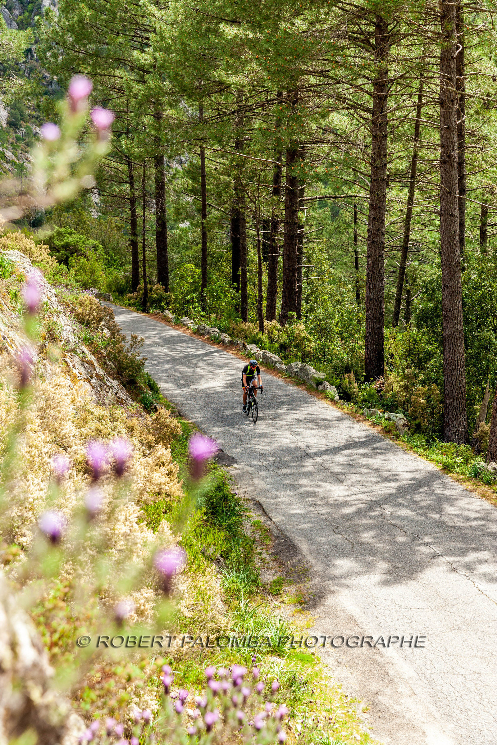 Bikingman Corsica 2019