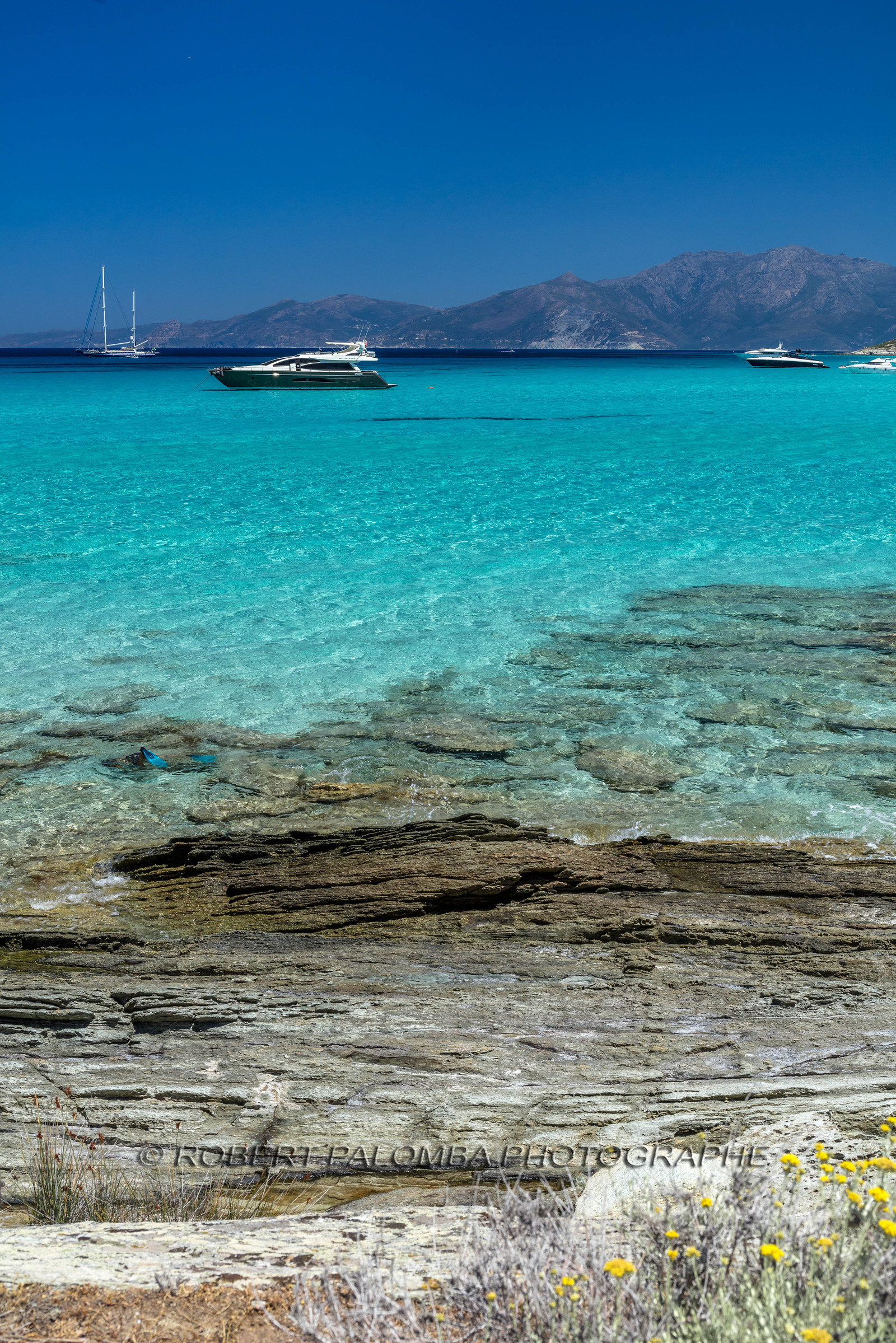 Saleccia