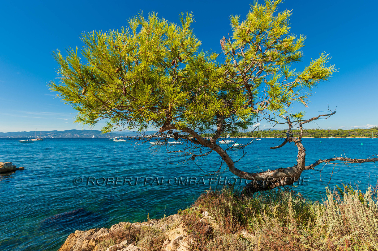 Ile St Honorat