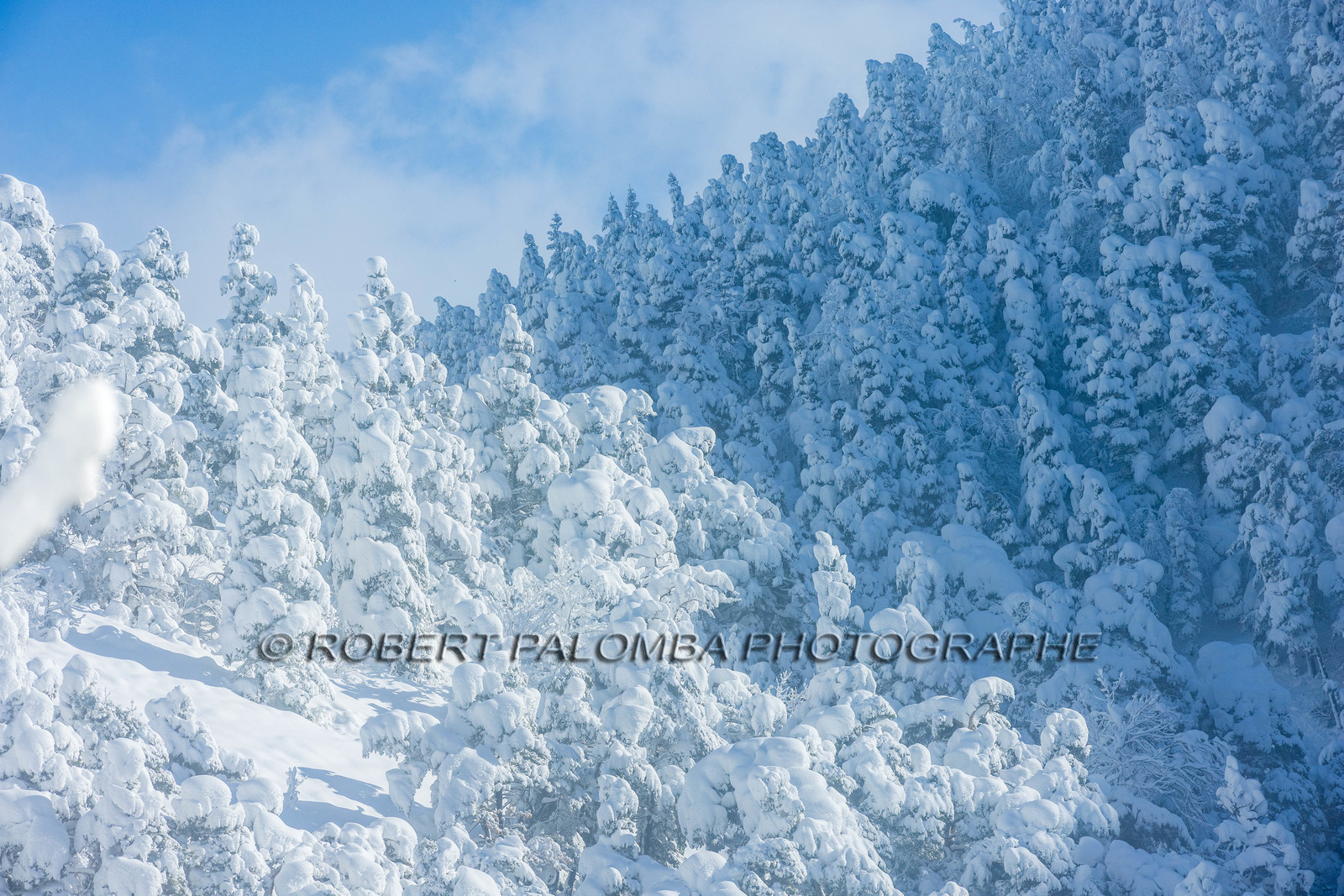 La-Colle-Saint-Michel