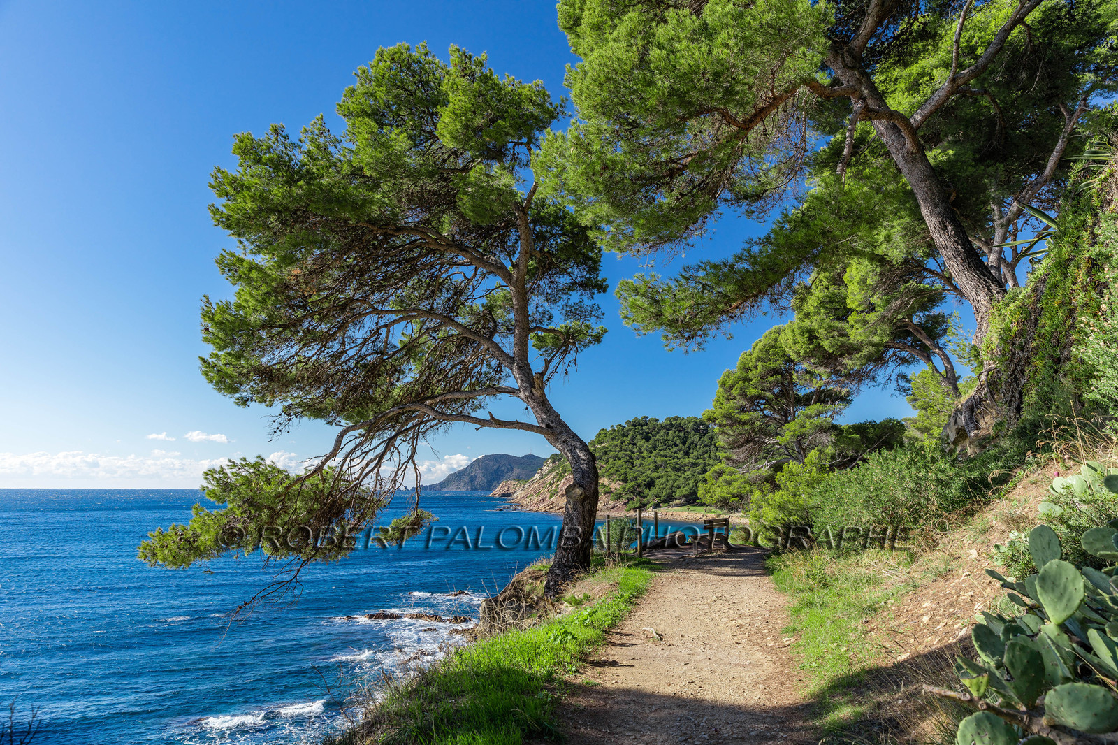 Saint-Mandrier-sur-Mer