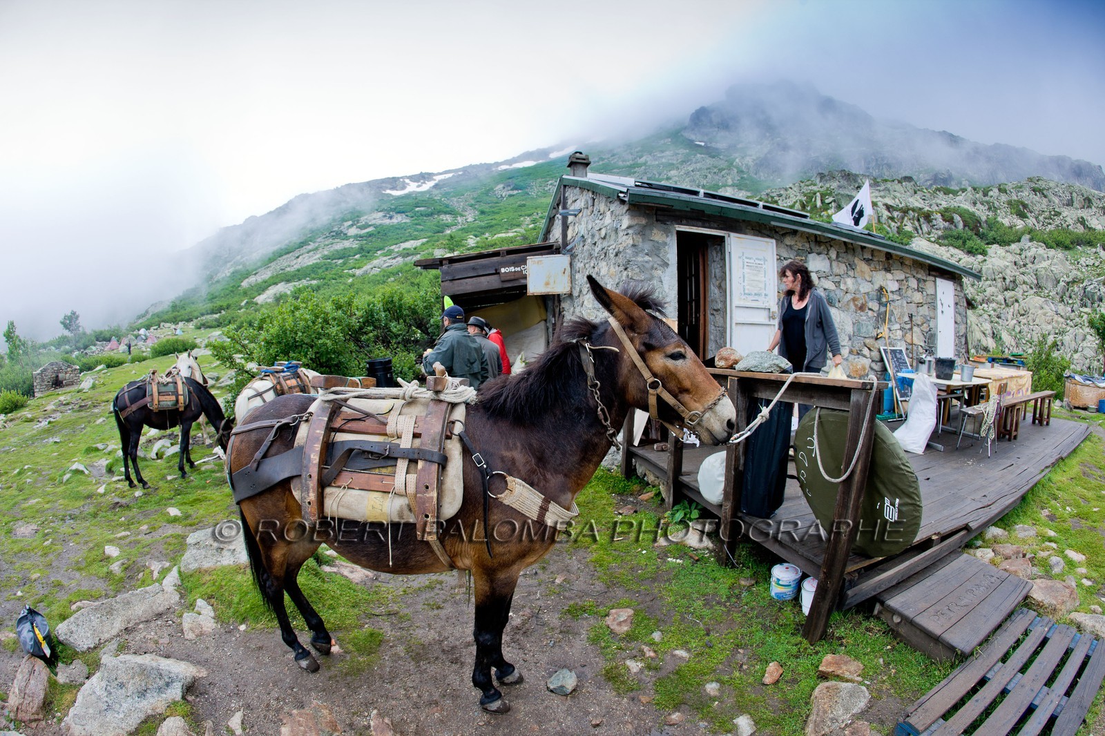 GR 20 Nord