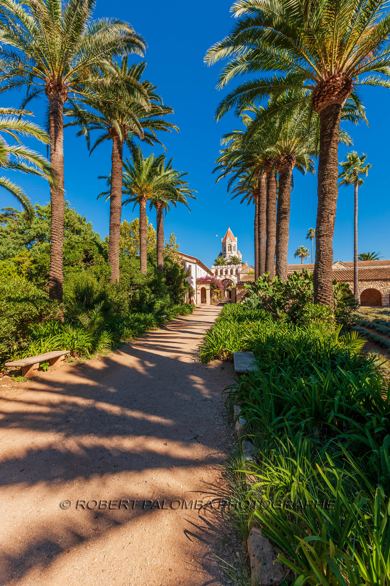 Ile St Honorat
