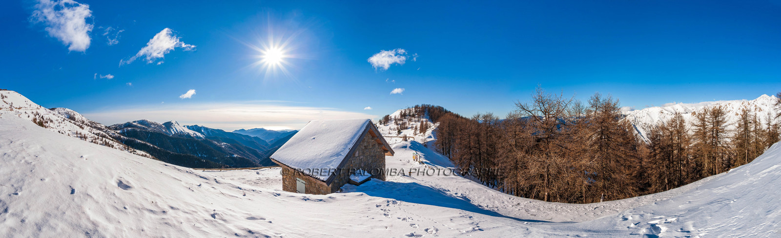 Turini