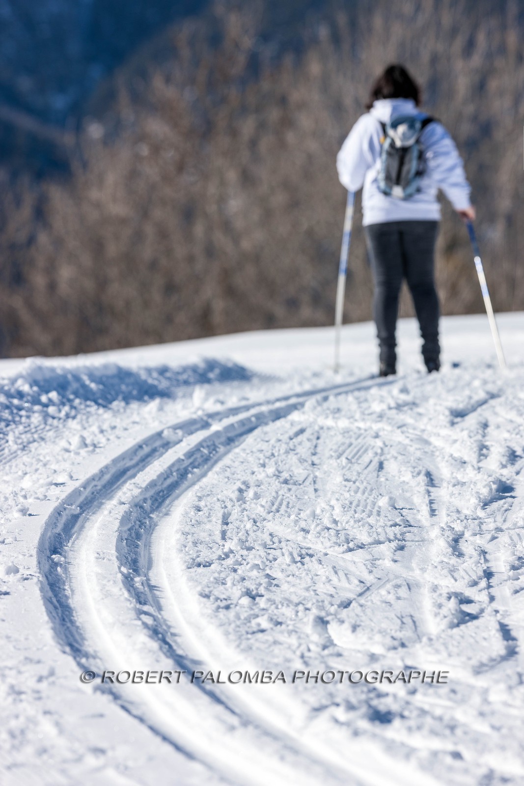 Ski de fond