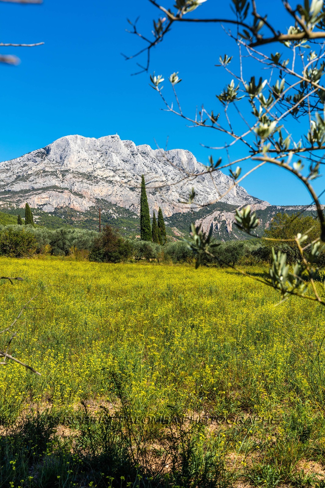 Sainte-Victoire