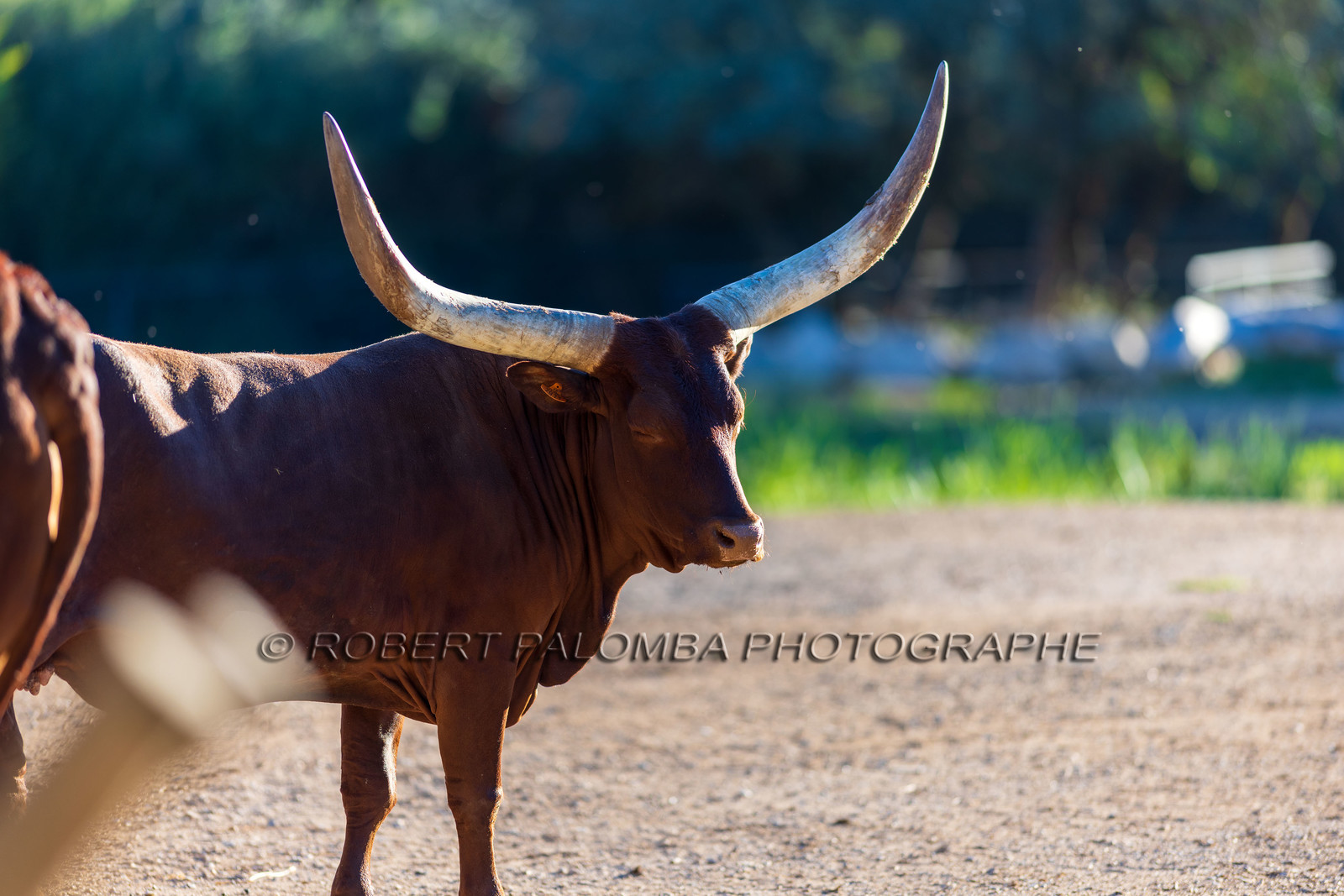 Parc animalier de la Barben