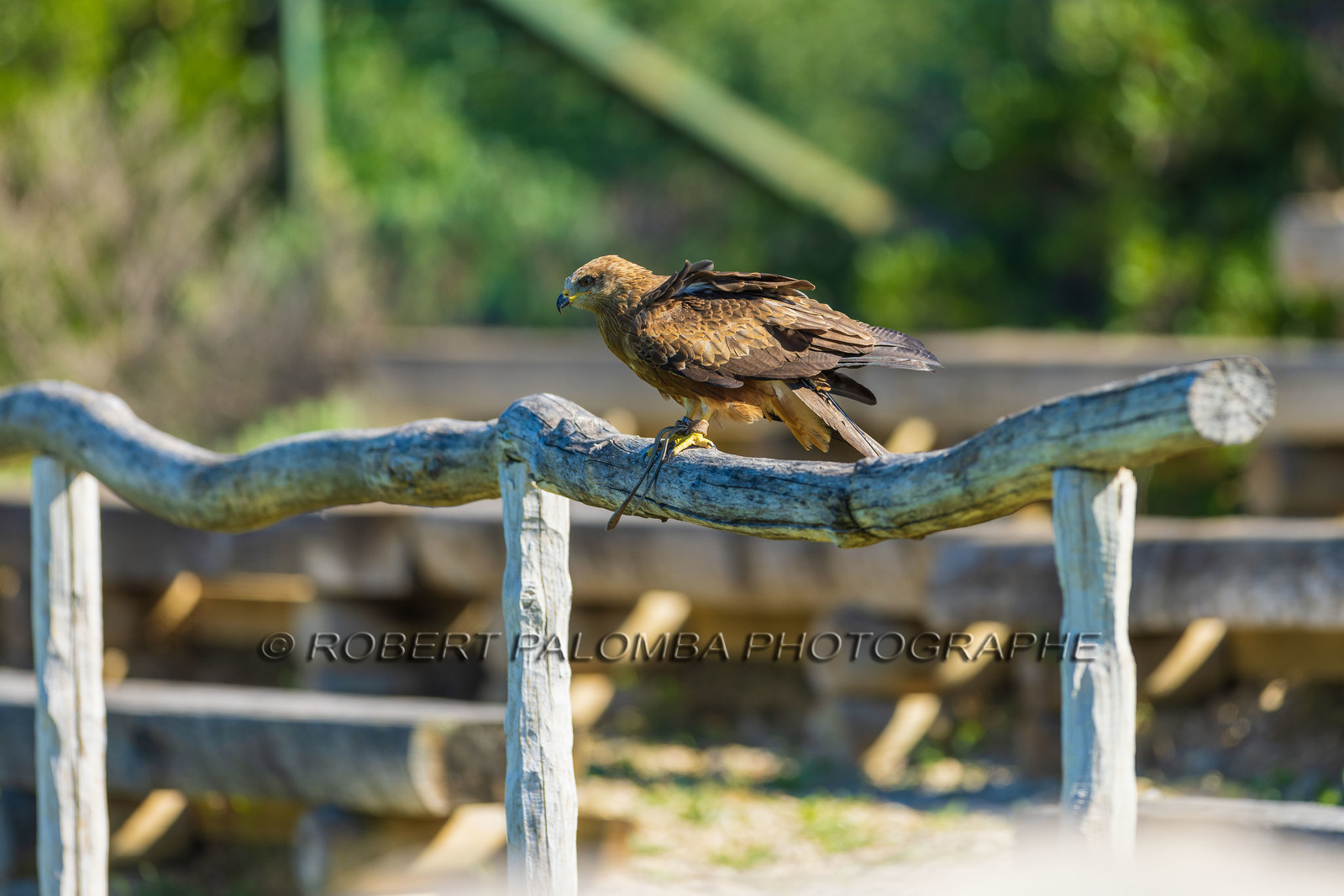Parc animalier de la Barben