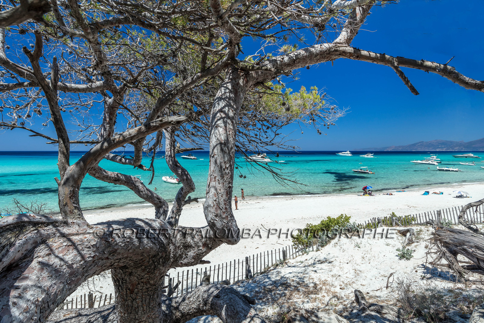 Saleccia