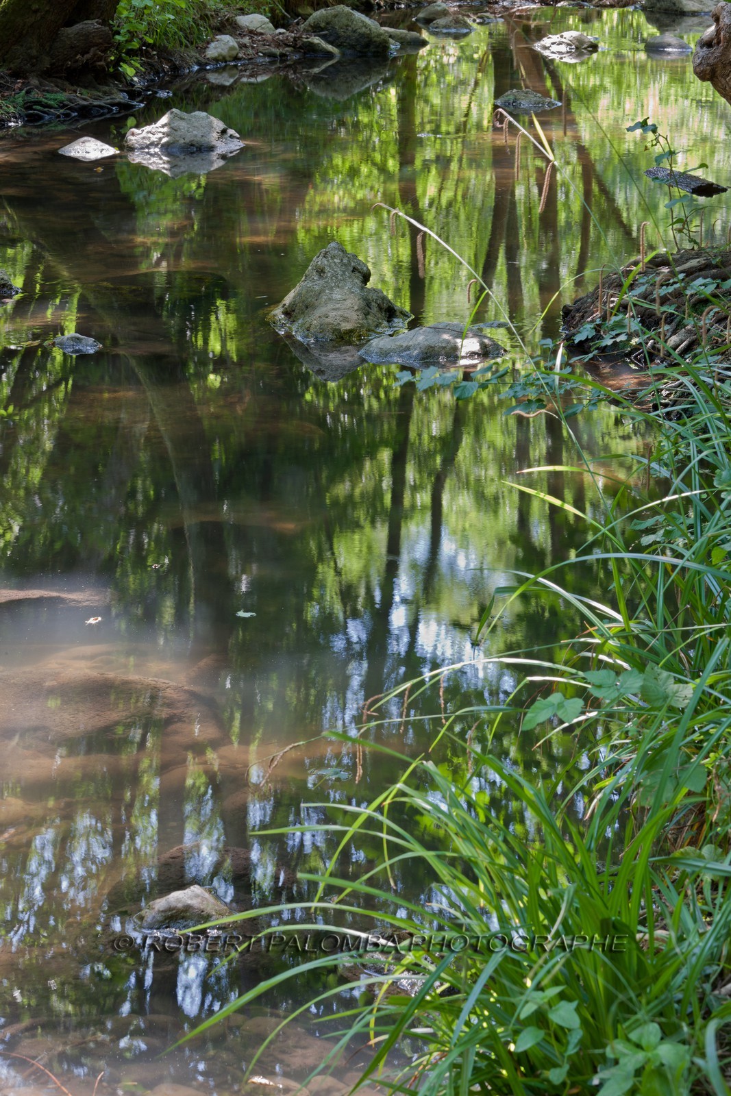 Parc de la Brague