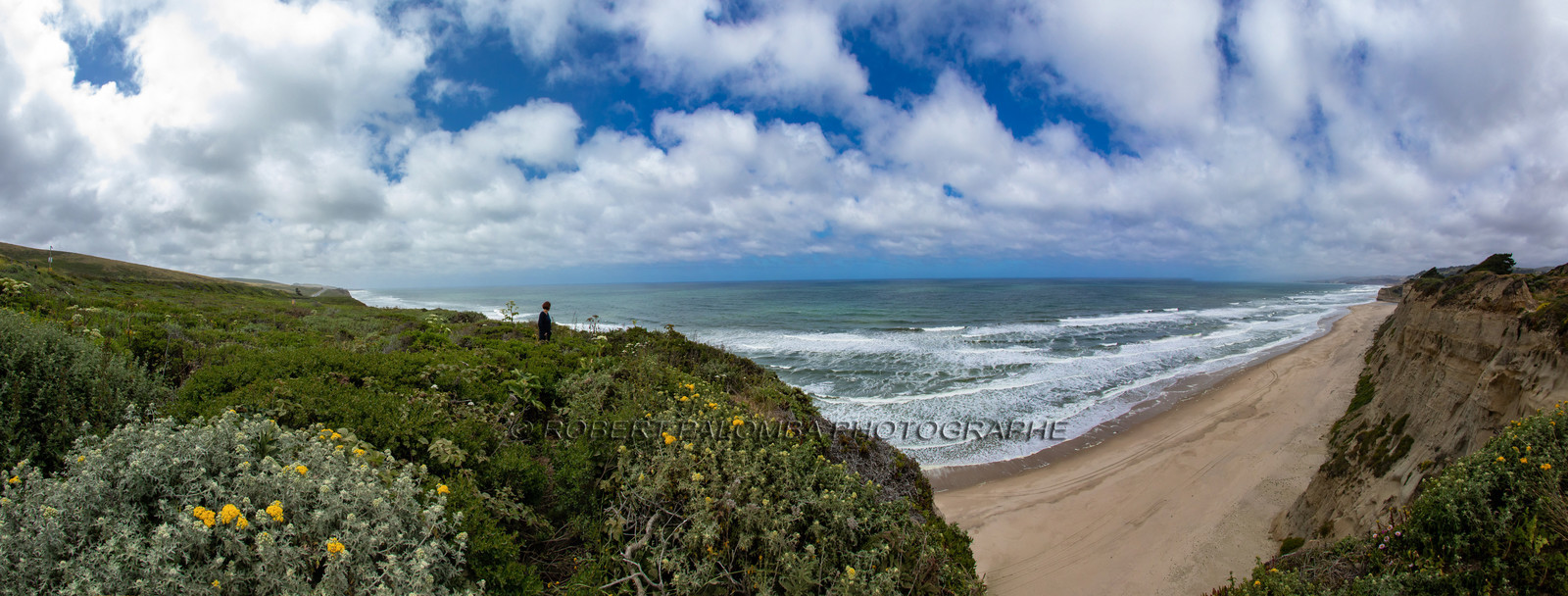 Côte Pacifique de Monterey à San Francisco