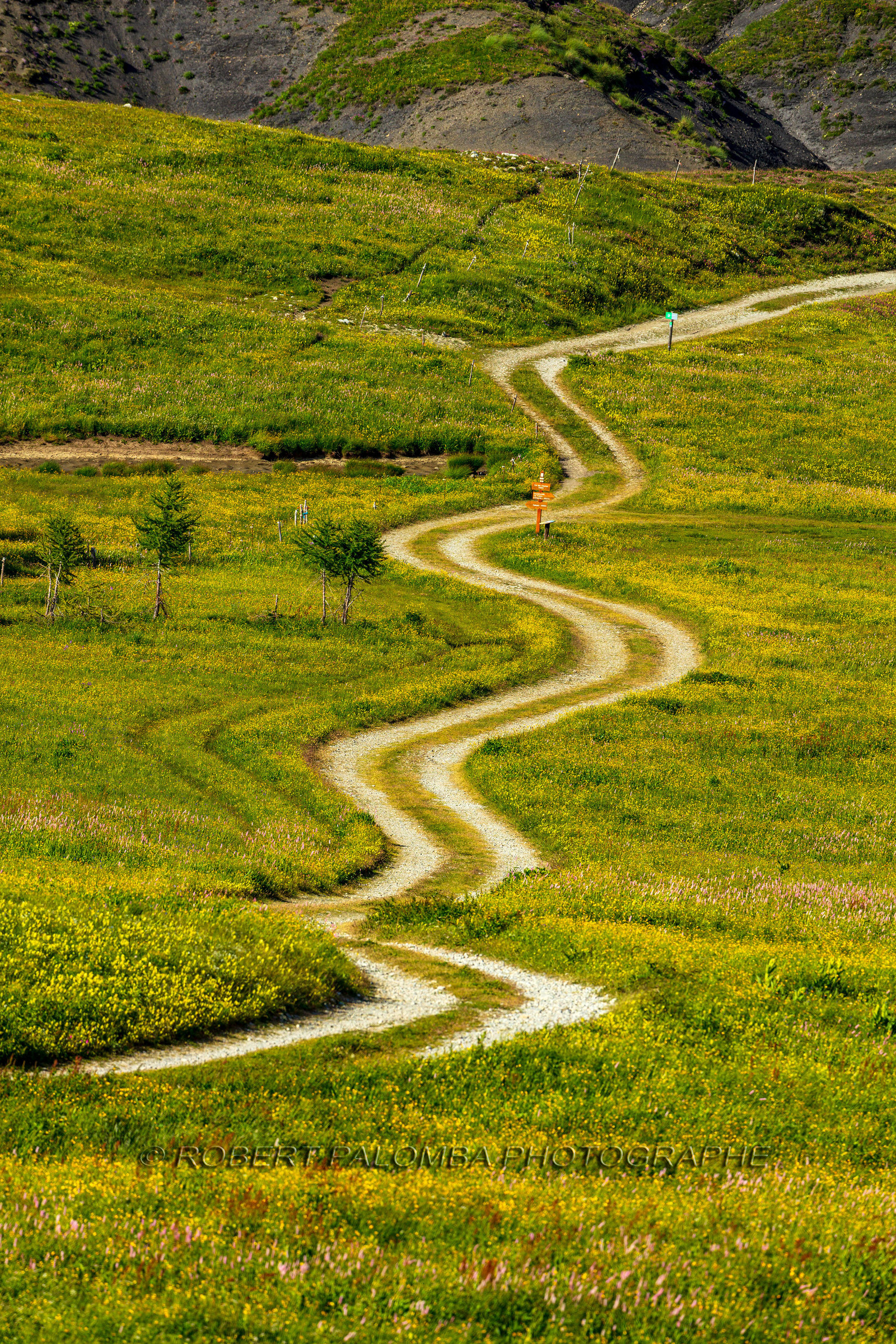 Col des Champs