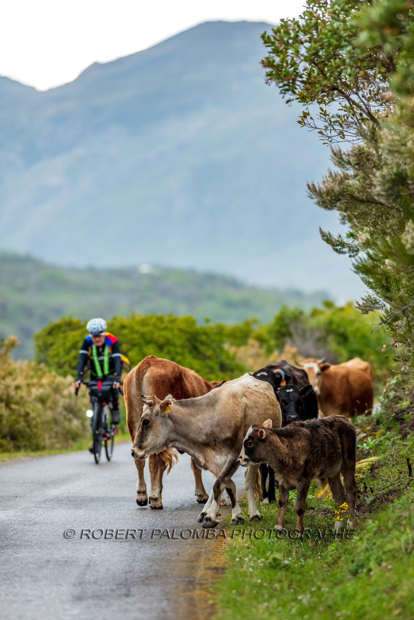 Bikingman Corsica 2019