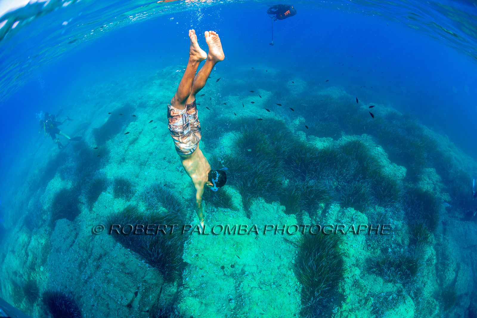 Plongée-sous-marine