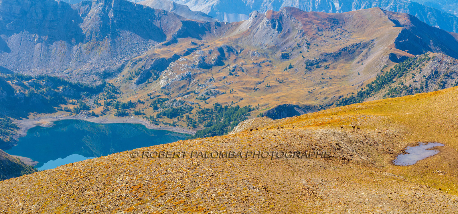Mont Pelat