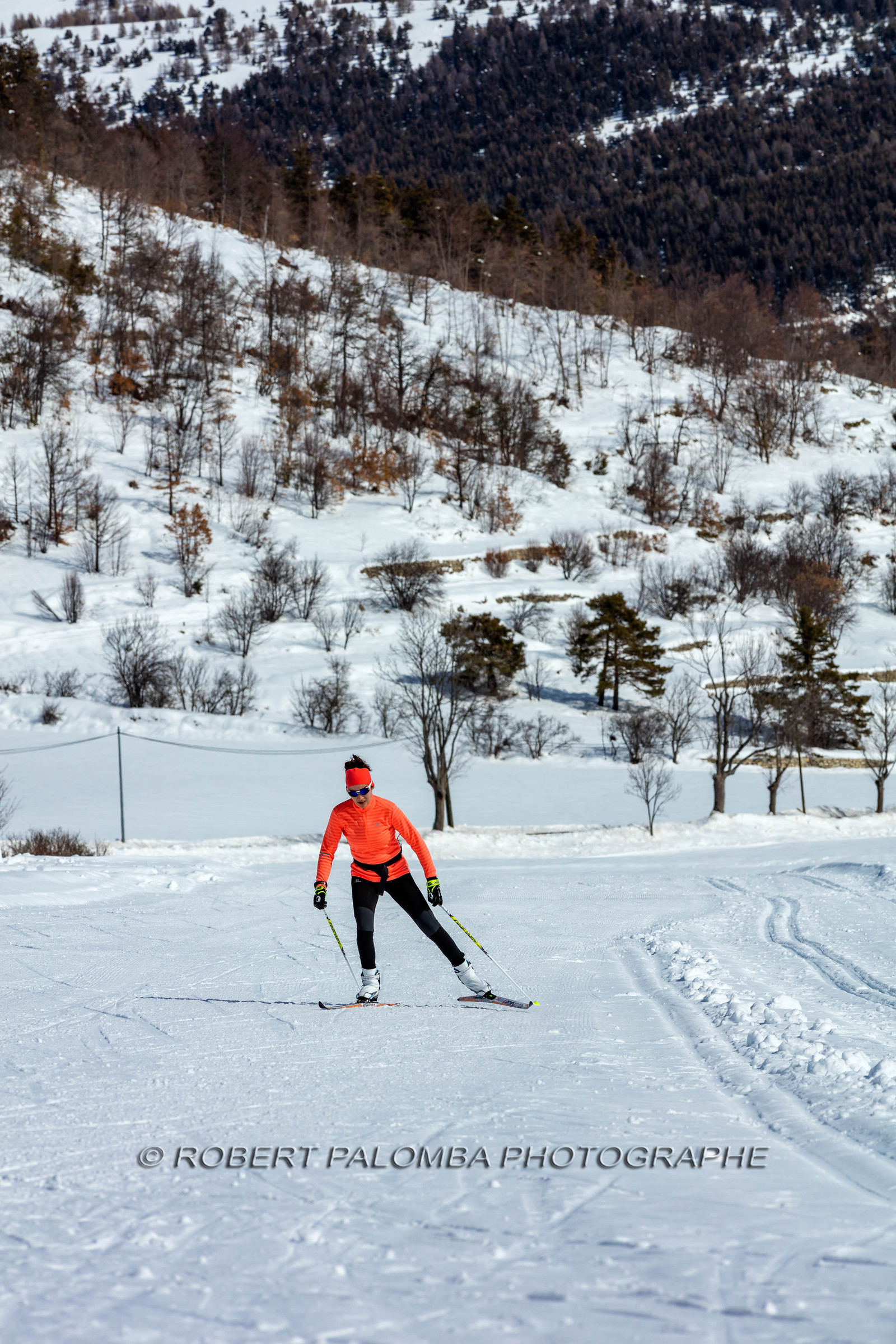 Ski-de-fond