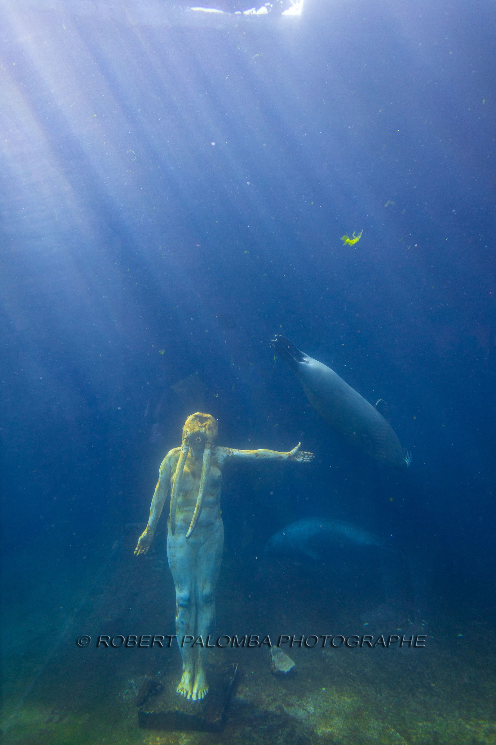 Seaquarium