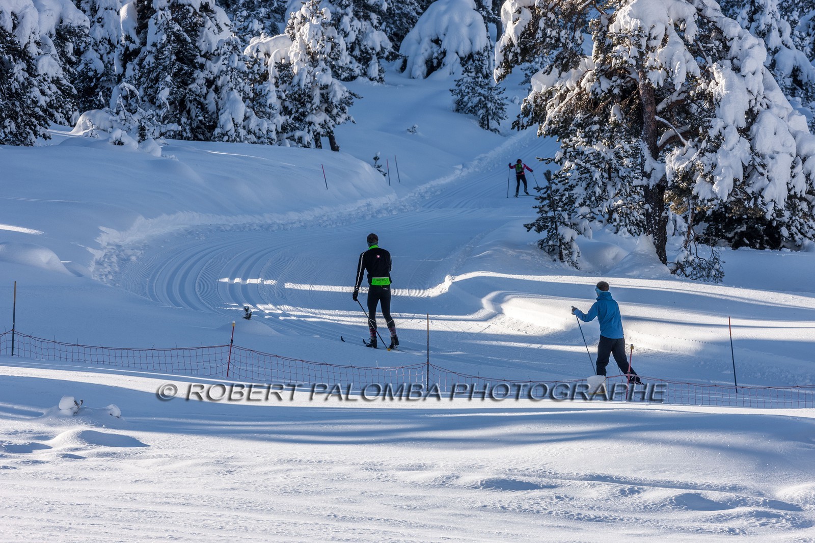 Ski de fond
