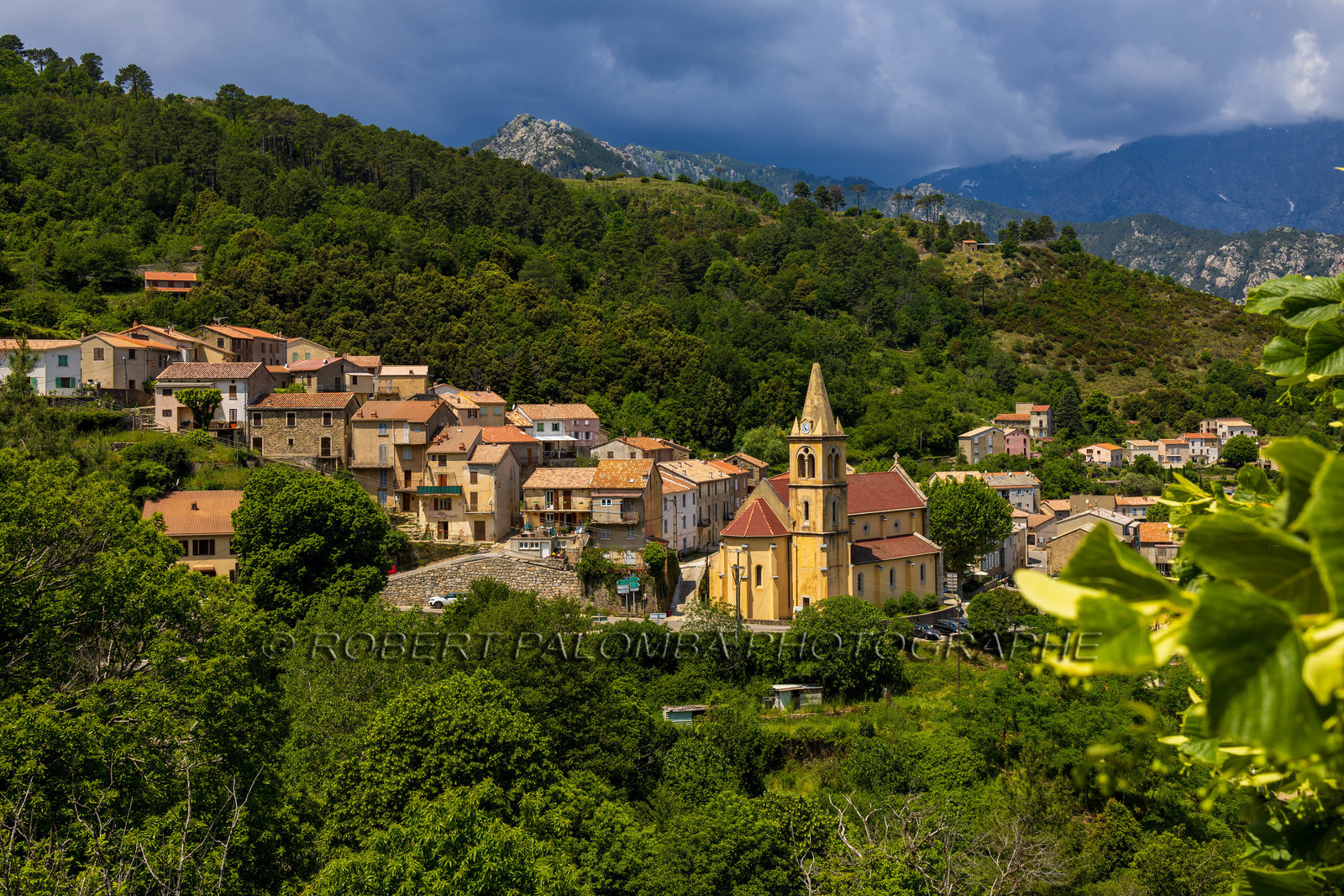 Vivario